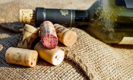 Κρασί από τους αυριανούς οινολόγους του Πανεπιστημίου Δυτικής Αττικής