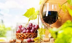 Στην Ιταλία αναμένεται σταθερή παραγωγή σε σύγκριση με την προηγούμενη περίοδο εμπορίας