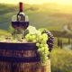 Η κλιματική αλλαγή αναγκάζει τους αμπελώνες στη Γαλλία να αλλάξουν τον τρόπο με τον οποίο φτιάχνουν κρασί