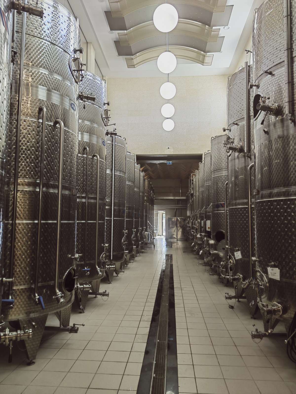 Μια κυπριακή ποικιλία κρασιού κατέκτησε τον κόσμο