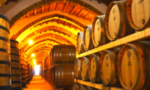 Παλαίωση κρασιών τώρα και στον βυθό - Νομοθετήθηκε η πρακτική πόντισης σφραγισμένων φιαλών σε μεταλλικούς κλωβούς