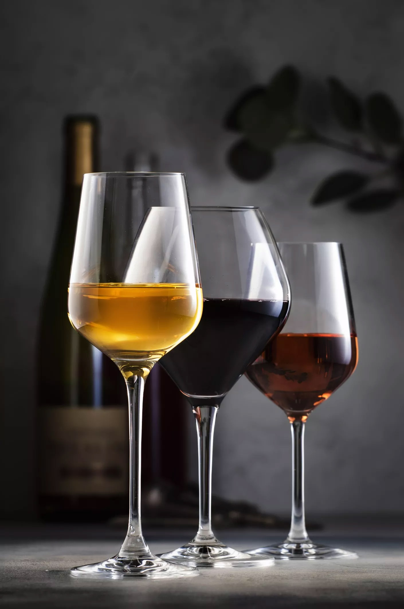 Πώς αντιλαμβανόμαστε αρώματα και γεύσεις στο κρασί; Αυτά είναι τα μυστικά της γευσιγνωσίας